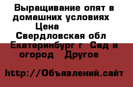 Выращивание опят в домашних условиях › Цена ­ 1 850 - Свердловская обл., Екатеринбург г. Сад и огород » Другое   